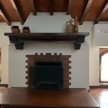 Daisy House: Nice Attic In The Historical Center Salo Bagian luar foto